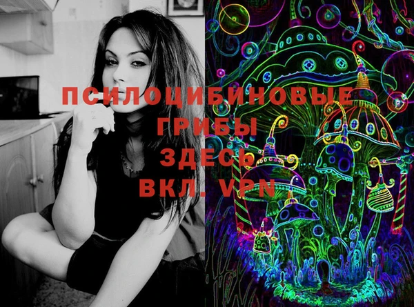 mdpv Заволжск