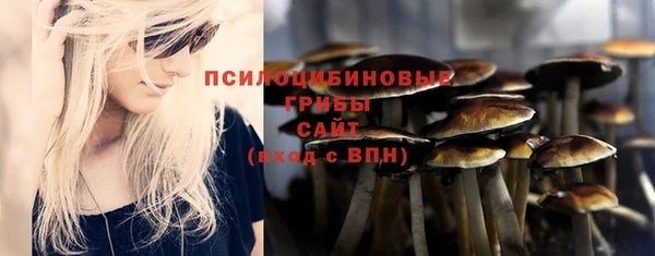 шишки Заводоуковск