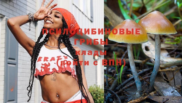 MDMA Ельня
