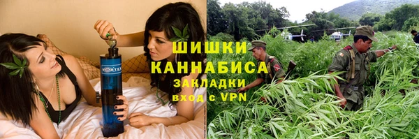 шишки Заводоуковск