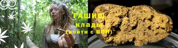 шишки Заводоуковск