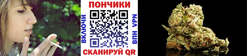 Бошки Шишки гибрид  Купить где  Анапа 